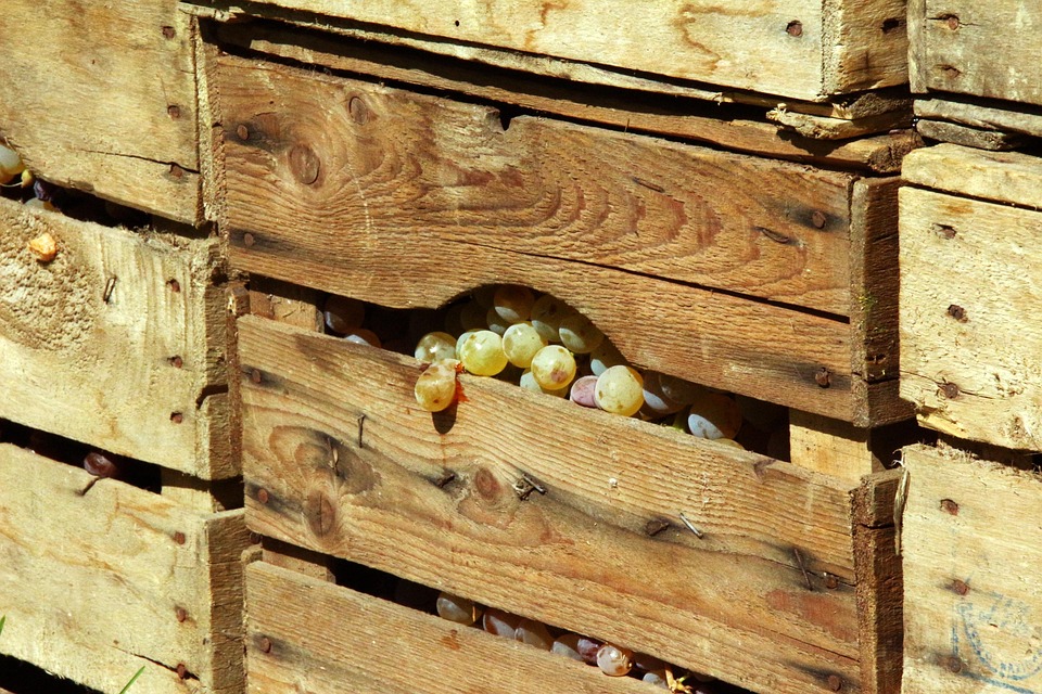 Wild Fermentation: Harnessing Nature’s Microbes for Unique Flavors Fermentation